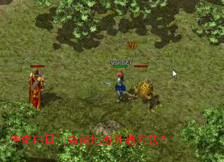 传奇白日门隐藏地图开启方法? 传奇白日门隐藏地图开启方法?