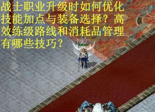 战士职业升级时如何优化技能加点与装备选择？高效练级路线和消耗品管理有哪些技巧？
