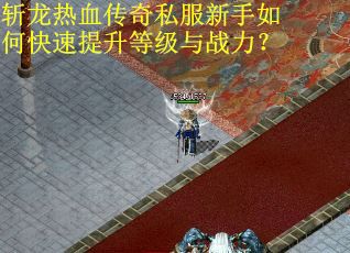 斩龙热血传奇私服新手如何快速提升等级与战力？