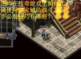 法师在传奇游戏里如何正确使用宝宝辅助战斗？新手必看技巧有哪些？