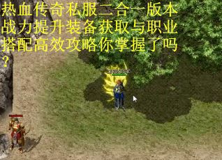 热血传奇私服二合一版本战力提升装备获取与职业搭配高效攻略你掌握了吗？