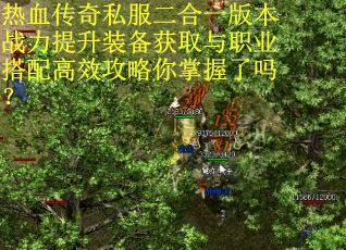 热血传奇私服二合一版本战力提升装备获取与职业搭配高效攻略你掌握了吗？