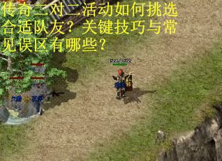 传奇二对二活动如何挑选合适队友？关键技巧与常见误区有哪些？
