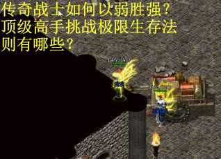 传奇战士如何以弱胜强？顶级高手挑战极限生存法则有哪些？
