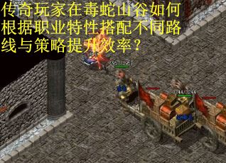 传奇玩家在毒蛇山谷如何根据职业特性搭配不同路线与策略提升效率？