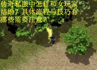 传奇私服中怎样和女玩家结婚？具体流程与技巧有哪些需要注意？