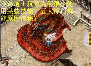 传奇道士玩家为何很少使用某些技能？五大冷门技能原因揭秘？