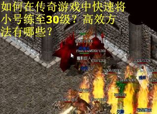 如何在传奇游戏中快速将小号练至30级？高效方法有哪些？