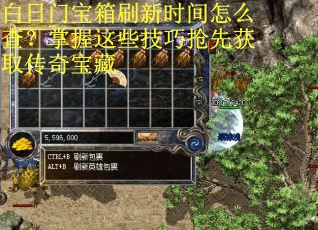 白日门宝箱刷新时间怎么查？掌握这些技巧抢先获取传奇宝藏