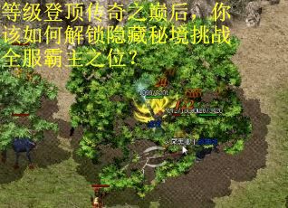 等级登顶传奇之巅后，你该如何解锁隐藏秘境挑战全服霸主之位？