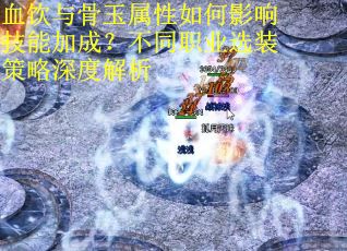 血饮与骨玉属性如何影响技能加成？不同职业选装策略深度解析
