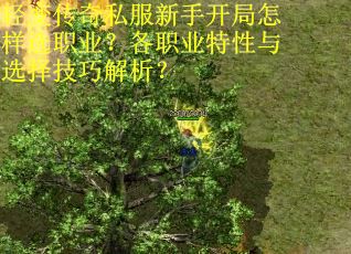 轻变传奇私服新手开局怎样选职业？各职业特性与选择技巧解析？