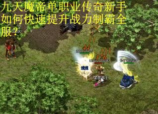 九天魔帝单职业传奇新手如何快速提升战力制霸全服？