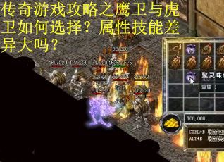 传奇游戏攻略之鹰卫与虎卫如何选择？属性技能差异大吗？