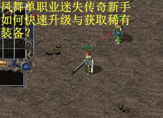 凤舞单职业迷失传奇新手如何快速升级与获取稀有装备？