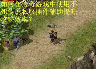 如何在传奇游戏中使用不死传说私服插件辅助提升攻略效率？
