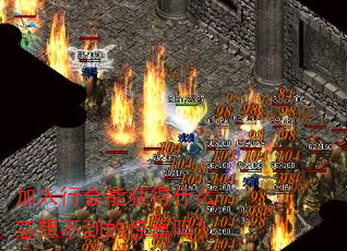 лܻʲô벻ľϲ