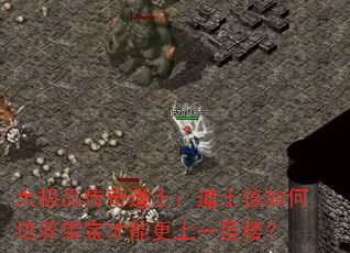 Ʒʿʿܸһ¥