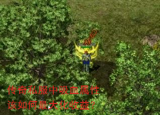 ˽ѪԸ棿