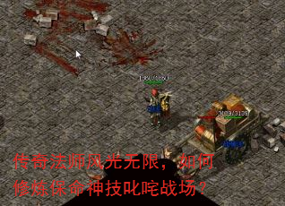 淨ʦޣ߳ս