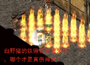 Ұ¶ĸ