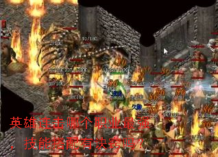 Ӣĸְҵǿܴо