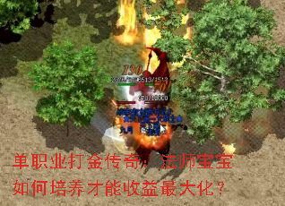 ְҵ棺ʦ󻯣