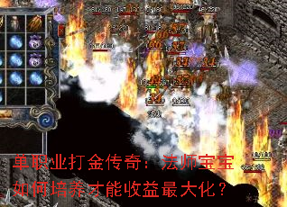 ְҵ棺ʦ󻯣
