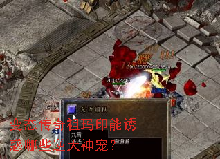 ̬ӡջЩ裿