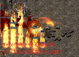 1.76棺ʯԣοѡ