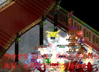 Ȩȣ߼ʦռأεǶ귨½۷壿