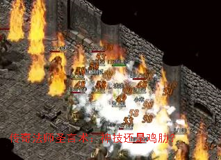 淨ʦʥ񼼻Ǽߣ