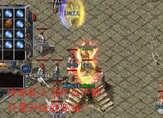 Ϊʲôֻͱǿ