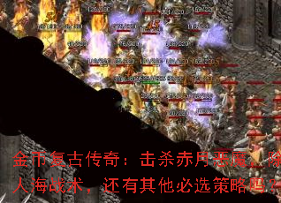 ҸŴ棺ɱ¶ħ˺սѡ