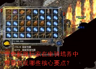 ·׺ЩҪ㣿