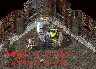 淨ʦԱѧ漼ɴ