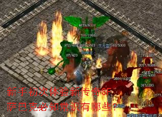 ֳ´SFͿ˱֪ʶЩ