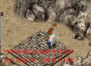 վοɫؿɷ