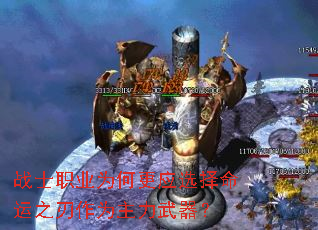 սʿְҵΪθӦѡ֮Ϊ