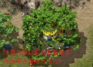 ѩһǰص㿼Щ뼼ɣ