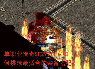 ְҵSF297ѡʺϵװ䣿