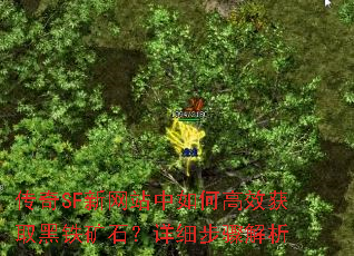 SFվθЧȡʯϸ