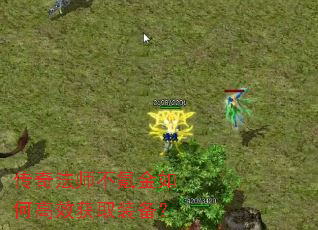 淨ʦ봽θЧȡװ