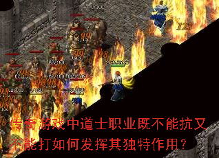 传奇游戏中道士职业既不能抗又不能打如何发挥其独特作用? 传奇游戏中道士职业既不能抗又不能打如何发挥其独特作用?
