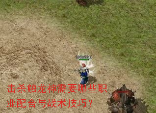 击杀触龙神需要哪些职业配合与战术技巧? 击杀触龙神需要哪些职业配合与战术技巧?