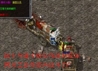 战士与道士组队作战时应如何分工协作提升战斗力? 战士与道士组队作战时应如何分工协作提升战斗力?