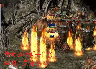 传奇私服新手任务真的只是跑腿吗? 传奇私服新手任务真的只是跑腿吗?