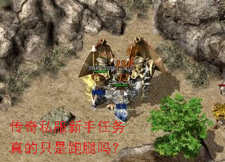传奇私服新手任务真的只是跑腿吗? 传奇私服新手任务真的只是跑腿吗?