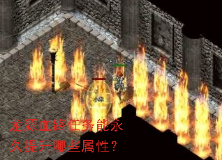 龙源血路任务能永久提升哪些属性? 龙源血路任务能永久提升哪些属性?