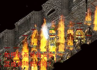 如何在苍月岛安全混迹并降低风险? 如何在苍月岛安全混迹并降低风险?